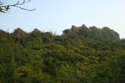 燕巢-雞冠山(正面)