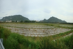 岡山-大、小崗山