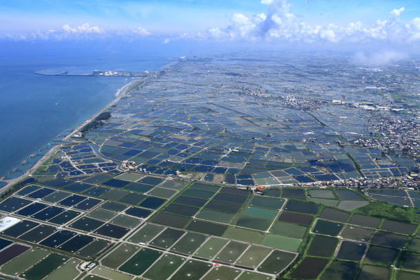 彌陀及永安漁塭