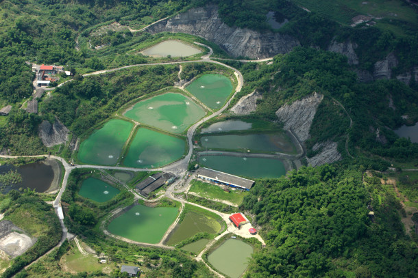 田寮漁塭