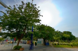 中央公園(日)_3